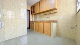 https://img.olx.com.br/thumbs256x256/26/264590884259566.jpg