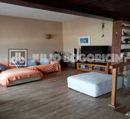 https://img.olx.com.br/thumbs256x256/26/264591520809402.jpg