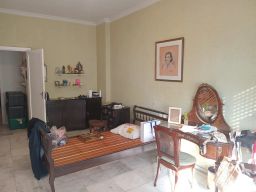 https://img.olx.com.br/thumbs256x256/26/265502626265234.jpg