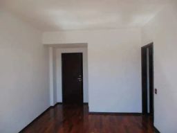 https://img.olx.com.br/thumbs256x256/26/265517285606816.jpg