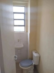 https://img.olx.com.br/thumbs256x256/26/265518152307558.jpg