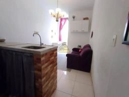 https://img.olx.com.br/thumbs256x256/26/265525529556496.jpg