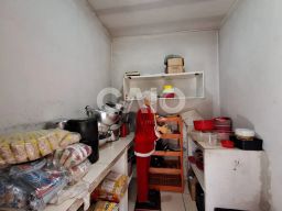 https://img.olx.com.br/thumbs256x256/26/265525746160656.jpg