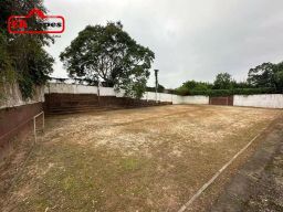 https://img.olx.com.br/thumbs256x256/26/265565286222170.jpg