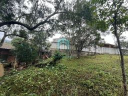 https://img.olx.com.br/thumbs256x256/26/265566751945925.jpg