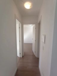 https://img.olx.com.br/thumbs256x256/26/265572642433553.jpg