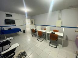 https://img.olx.com.br/thumbs256x256/26/265578526470948.jpg