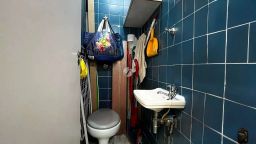 https://img.olx.com.br/thumbs256x256/26/266505886867207.jpg