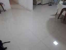 https://img.olx.com.br/thumbs256x256/26/266528509082834.jpg