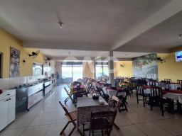 https://img.olx.com.br/thumbs256x256/26/266541383256039.jpg