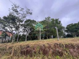 https://img.olx.com.br/thumbs256x256/26/266567275467058.jpg