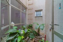 https://img.olx.com.br/thumbs256x256/26/266568402714067.jpg