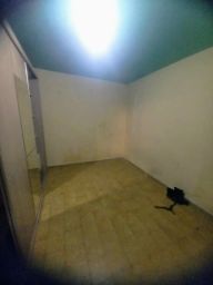 https://img.olx.com.br/thumbs256x256/26/266584156358339.jpg