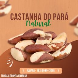 Título do anúncio: Vende-se Castanha do Pará natural sem conservantes!
