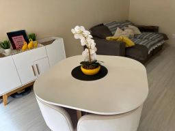 https://img.olx.com.br/thumbs256x256/26/267401164741487.jpg