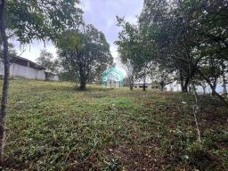 https://img.olx.com.br/thumbs256x256/26/267503155682664.jpg