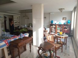 https://img.olx.com.br/thumbs256x256/26/267504628286624.jpg