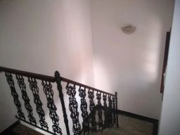 https://img.olx.com.br/thumbs256x256/26/267548887716178.jpg