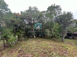 https://img.olx.com.br/thumbs256x256/26/267577391499437.jpg