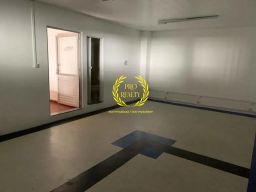 https://img.olx.com.br/thumbs256x256/26/267618551599208.jpg
