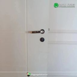 https://img.olx.com.br/thumbs256x256/26/268444834626935.jpg