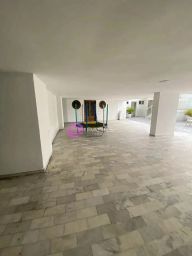 https://img.olx.com.br/thumbs256x256/26/268538636392247.jpg