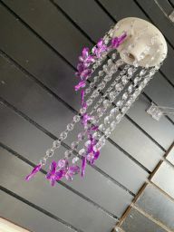 https://img.olx.com.br/thumbs256x256/26/269545397338030.jpg