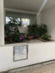 https://img.olx.com.br/thumbs256x256/26/269556517784141.jpg