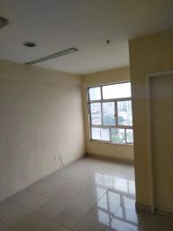 https://img.olx.com.br/thumbs256x256/26/269559756063586.jpg