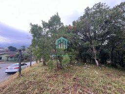 https://img.olx.com.br/thumbs256x256/26/269597397225010.jpg