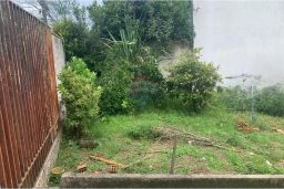 https://img.olx.com.br/thumbs256x256/27/270566391575364.jpg