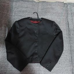 https://img.olx.com.br/thumbs256x256/27/272407711241165.jpg