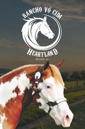 Título do anúncio: Venda  Garanhão Paint Horse Campeão