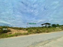 https://img.olx.com.br/thumbs256x256/27/273506649685682.jpg