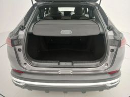 https://img.olx.com.br/thumbs256x256/27/273665896775555.jpg