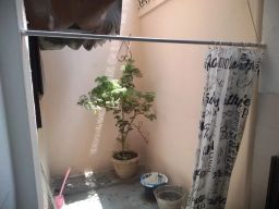 https://img.olx.com.br/thumbs256x256/27/274515766882708.jpg