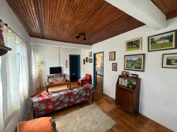 https://img.olx.com.br/thumbs256x256/27/274538385992674.jpg
