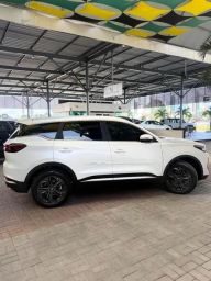 https://img.olx.com.br/thumbs256x256/27/274611322384084.jpg