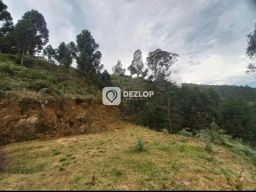 https://img.olx.com.br/thumbs256x256/27/275528166913844.jpg