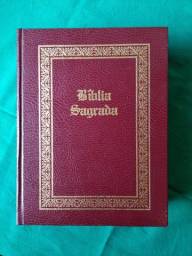 Título do anúncio: Bíblia Sagrada com páginas douradas Editora Delta (usada)