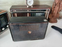 https://img.olx.com.br/thumbs256x256/27/277535527378025.jpg