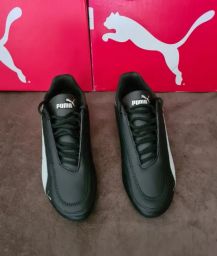 https://img.olx.com.br/thumbs256x256/28/280429809147046.jpg