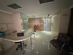 https://img.olx.com.br/thumbs256x256/28/280558887935977.jpg