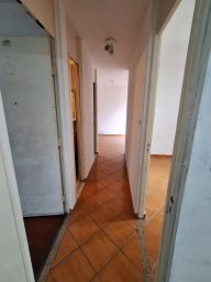 https://img.olx.com.br/thumbs256x256/28/280564883609982.jpg
