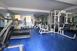 https://img.olx.com.br/thumbs256x256/28/280578041950418.jpg