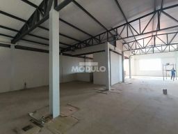 https://img.olx.com.br/thumbs256x256/28/280599886901541.jpg