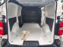 https://img.olx.com.br/thumbs256x256/28/280648405342563.jpg