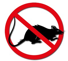 Título do anúncio: Dedetização contra Ratos e Baratas com Garantia e nota fiscal