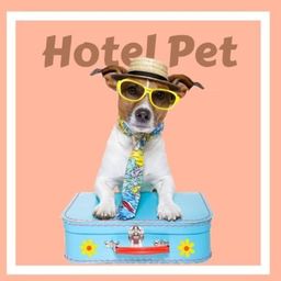 Título do anúncio: Hotel para cachorro 