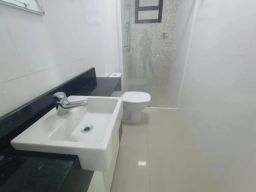 https://img.olx.com.br/thumbs256x256/28/282565164577283.jpg